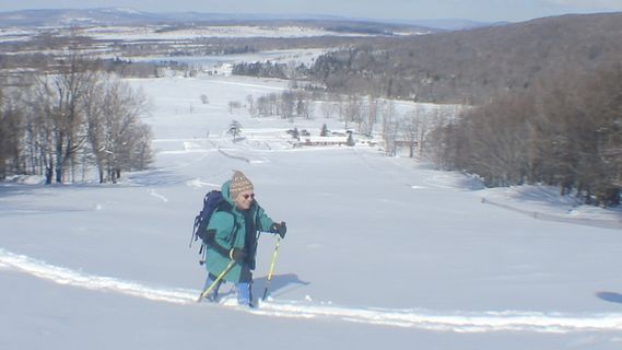 a xc skier traversing the slope at Whitegrass  