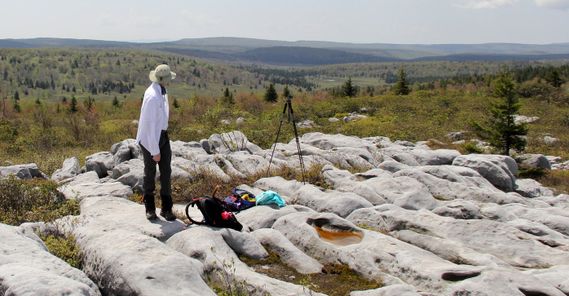 A person prepares to take photos of the Dolly Sods landscape