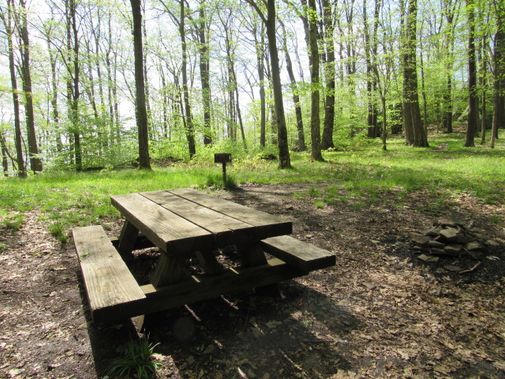A picnic table at the Bear Heaven Campground