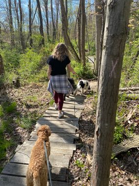 A hiker with dogs strolls along a White Park trail