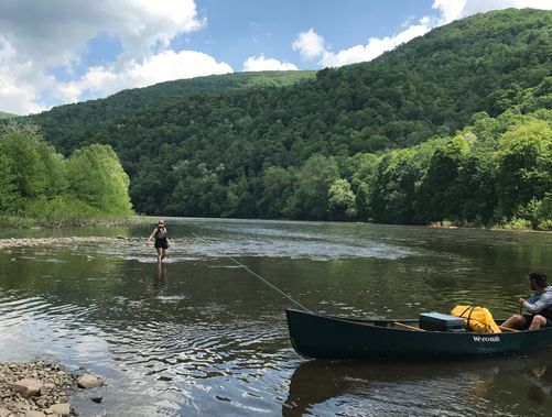 Wading in the Cheat River during a break from canoeing