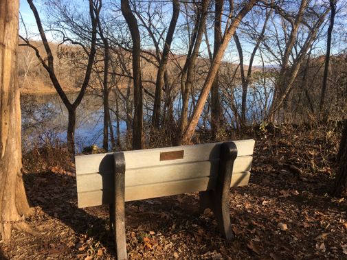A trail bench overlooks the water