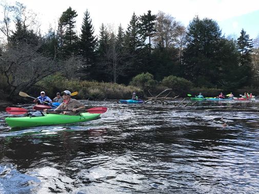 Kayaks meander along the Blackwater River