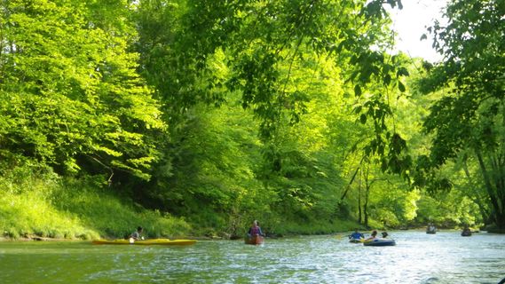 Canoes and kayaks paddling down Dunkard Creek