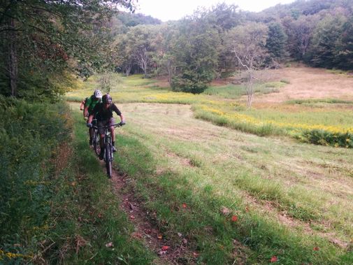 Mountain bikers ride up a trail on the side of an open meadow
