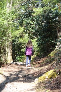A person hikes on a trail at Audra SP