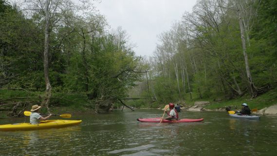 kayaks take a break on Dunkard Creed