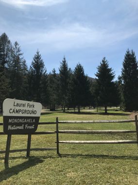 The Laurel Fork Campground Sign
