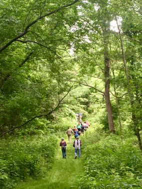A group hikes along a trail at Cool Springs