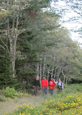 Students learn about Canaan Valley on a ranger led hike
