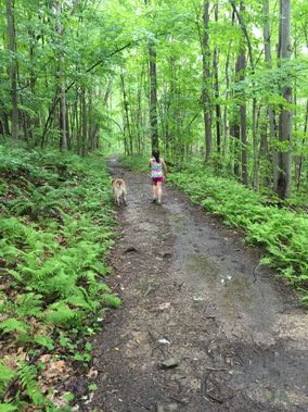 A girl and her dog hiking on a trail at Ohiopyle SP