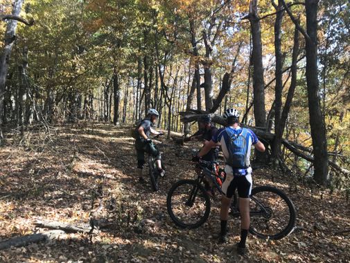 Mountain bikers stop along the North Fork Mtn. Trail
