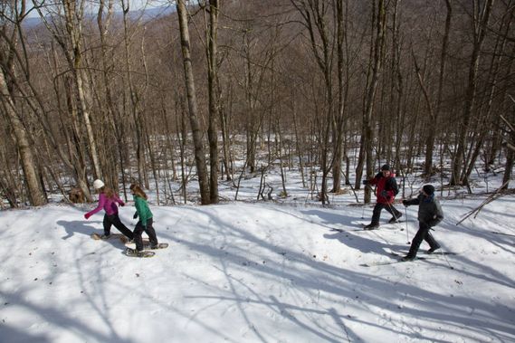 skiers and hikers along a Canaan Valley trail