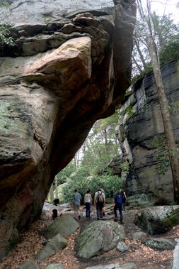 A group hiking through the large rocks at Coopers Rock State Forest