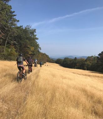 Mountain bikers ride down the field on North Fork Mtn. Trail