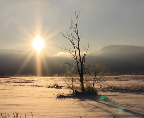 A sunrise winter scene in Canaan Valley