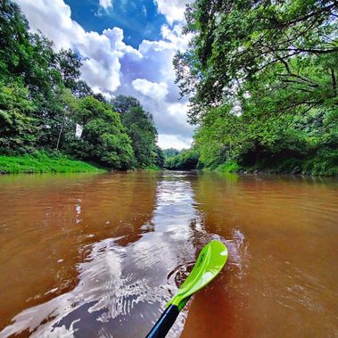 A view of a paddle in the water on the West Fork Water Trail