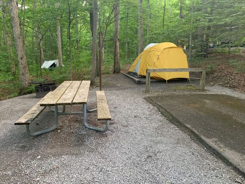 A campsite on one of the loops in Seneca Shadows