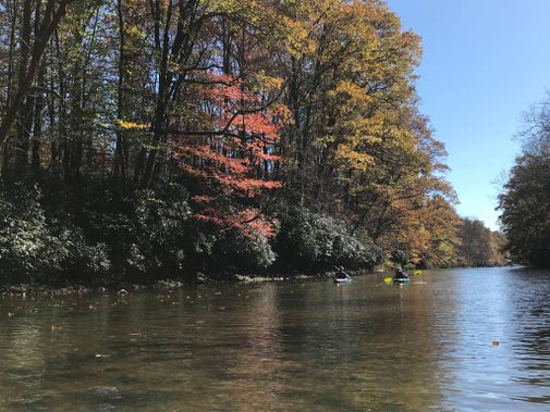 Kayaks paddle upstream on the Big Sandy Creek