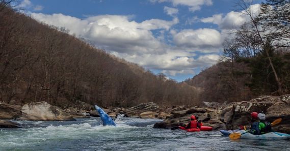 A group of whitewater paddlers watch a kayaker surf on the Tygart River Gorge