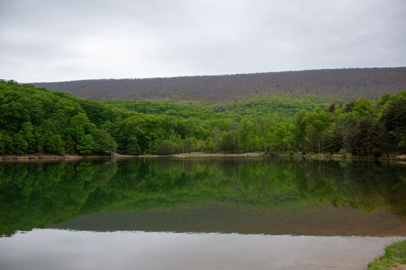 Cacapon Lake