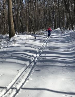 A skier glides through the tracks at Coopers Rock