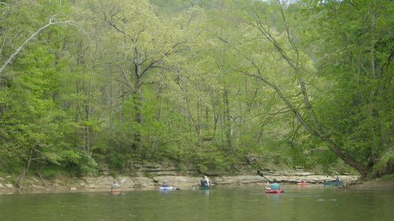 Canoes and kayaks paddling down Dunkard Creek