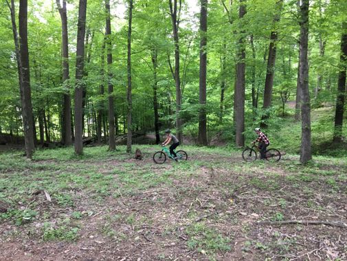 Two mountain bikers ride on the Westover Park Trail