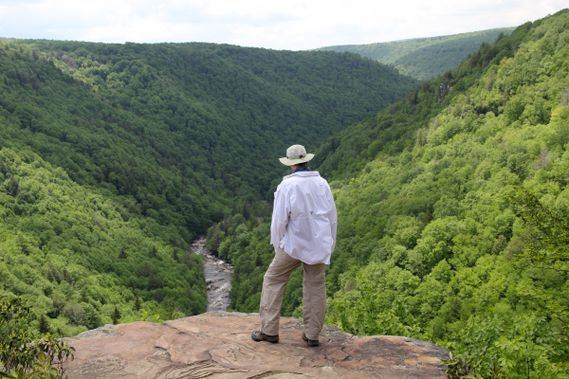 A person looks out over Blackwater Canyon