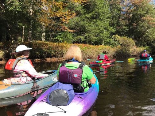 Kayaks float along on the Blackwater River