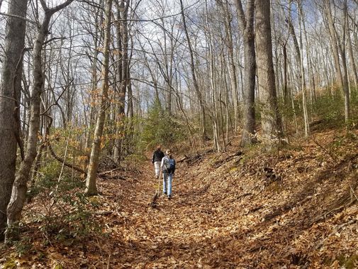 Hikers on Polls Plateau Trail