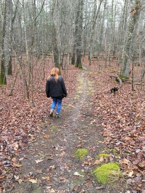 A person hikes on a trail at Droop Mountain