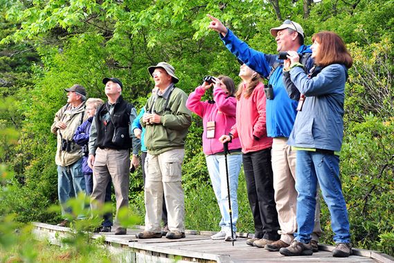 Bird watchers stand on a small bridge in Canaan Valley NWR