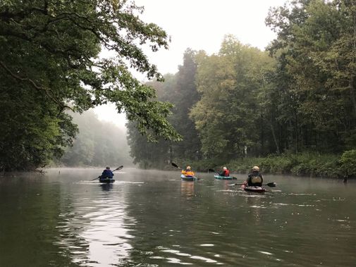 Kayaks move along Big Sandy Creek in the early morning fog