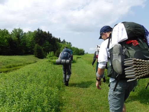 Backpackers hike through a field in Tea Creek