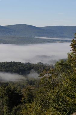 Green rolling hills and fog in Canaan Valley 