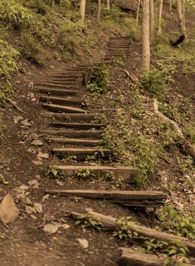 A trail with stairs at Whitemore Park