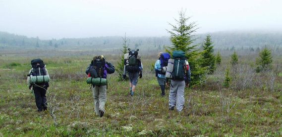 A group of people backpacking in the northern part of Dolly Sods