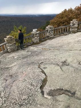 A person taking in the view from the overlook at Coopers Rock