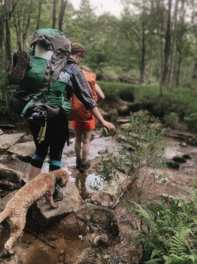Two people and their dog backpack at Dolly Sods