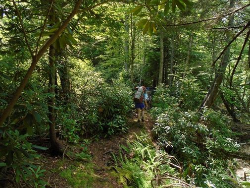 Hikers on a Tea Creek trail