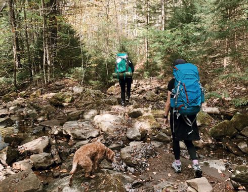 Two backpackers and their dog hike along a trail in the Cranberry Wilderness