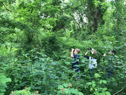 Young hikers spot birds with binoculars