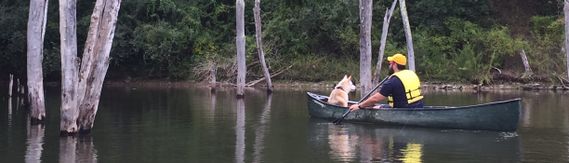 Canoeing with a dog at Stonewall Jackson SP