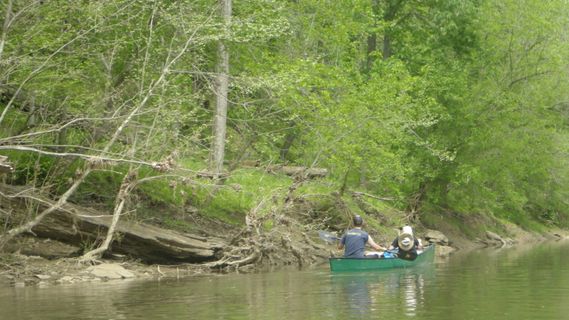 A canoe along the shore of Dunkard Creek
