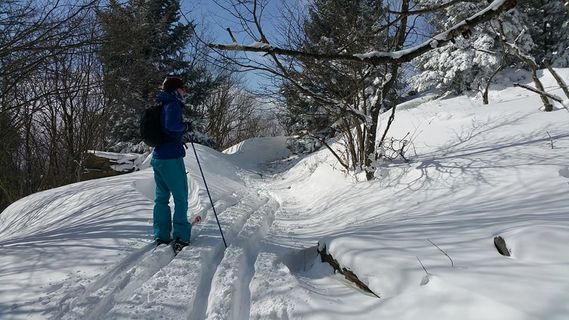 A skier moves along a snowy trail