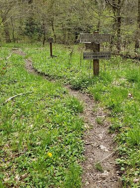 A trail and sign at Cranberry Wilderness