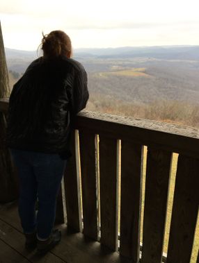 A person looks out at the view at Droop Mountain