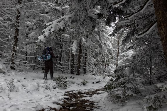 A backpacker snowshoes along a trail in Dolly Sods