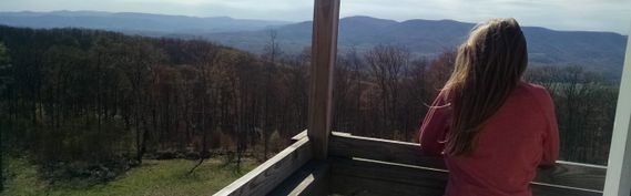 Looking out at the view from the fire tower at Seneca State Forest